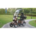 Scooter 4 wheels, 60 volts 30ah, 800W, brown with top